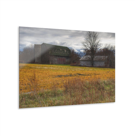 U R There Photography Fields of Golden Clover Rustic Farmhouse Acrylic Wall Print