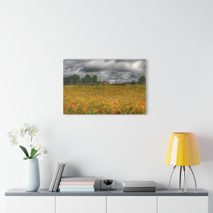 U R There Photography Golden Fields Farm Rustic Farmhouse Acrylic Wall Print