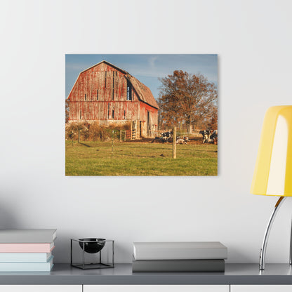 U R There Photography Marathon Road Red Rustic Farmhouse Acrylic Wall Print