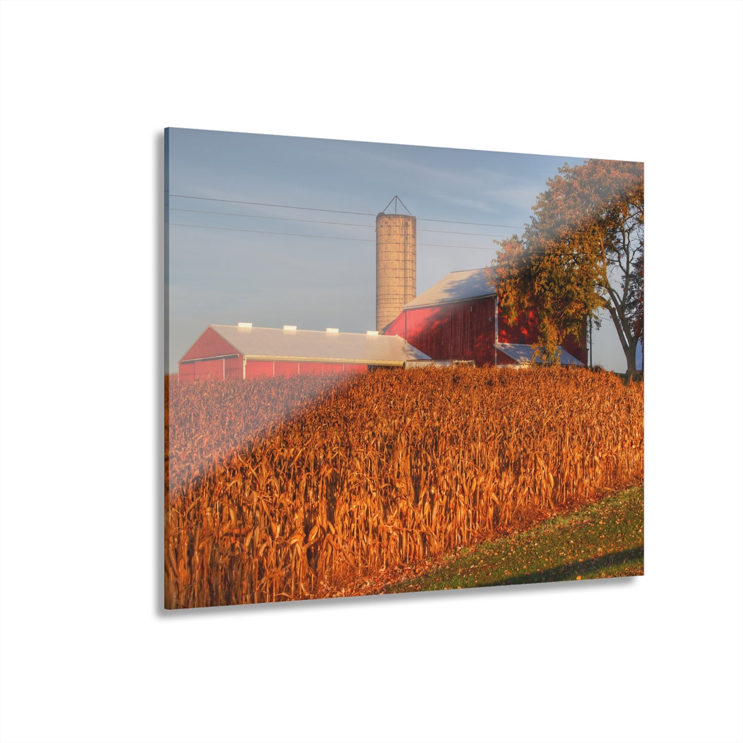 Barn Boutique Modern Farmhouse Acrylic Wall Print| Lake Pleasant Reds I