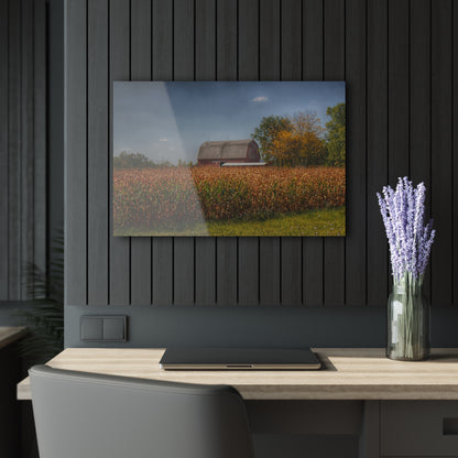 U R There Photography Clifford Road Red III Rustic Farmhouse Acrylic Wall Print