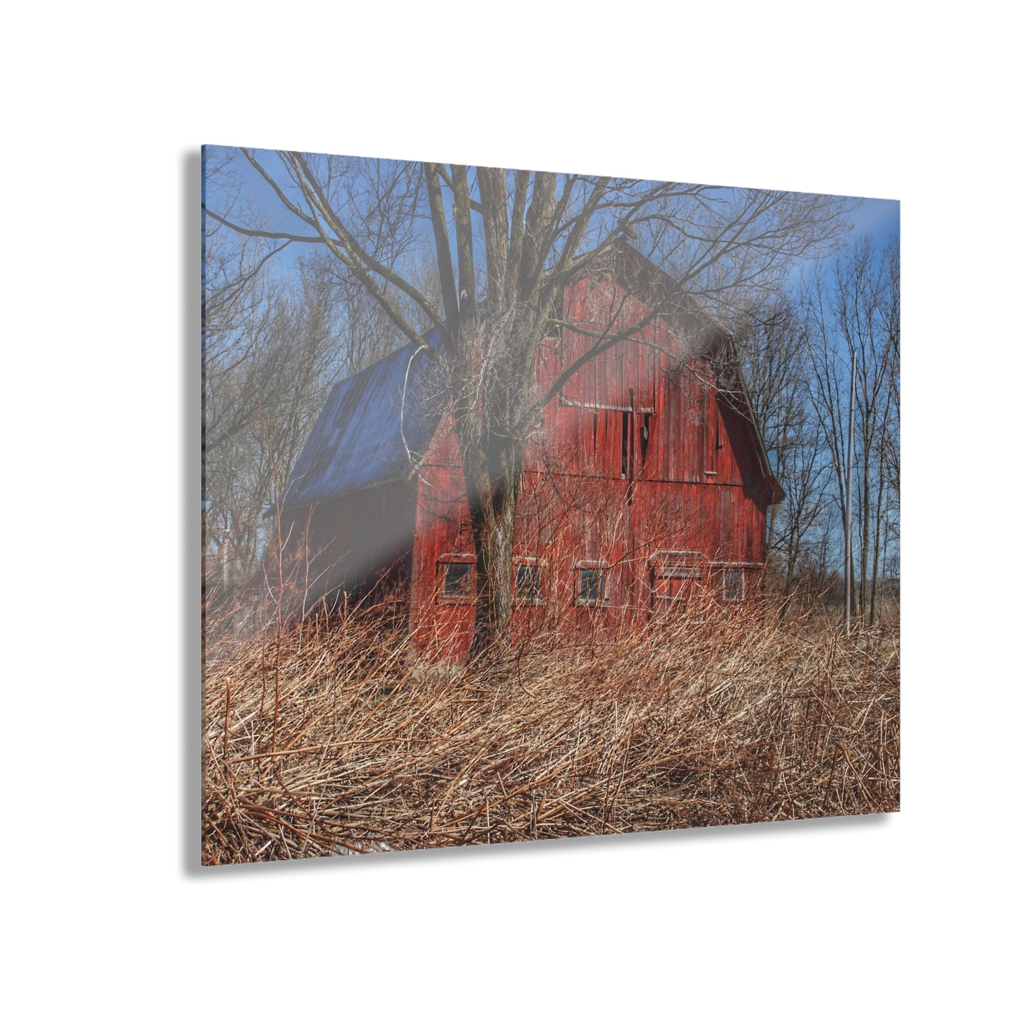 U R There Photography East Dodge Road Red Rustic Farmhouse Acrylic Wall Print
