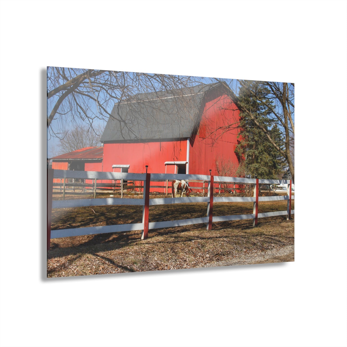 U R There Photography Wolcott Red and Filly Rustic Farmhouse Acrylic Wall Print