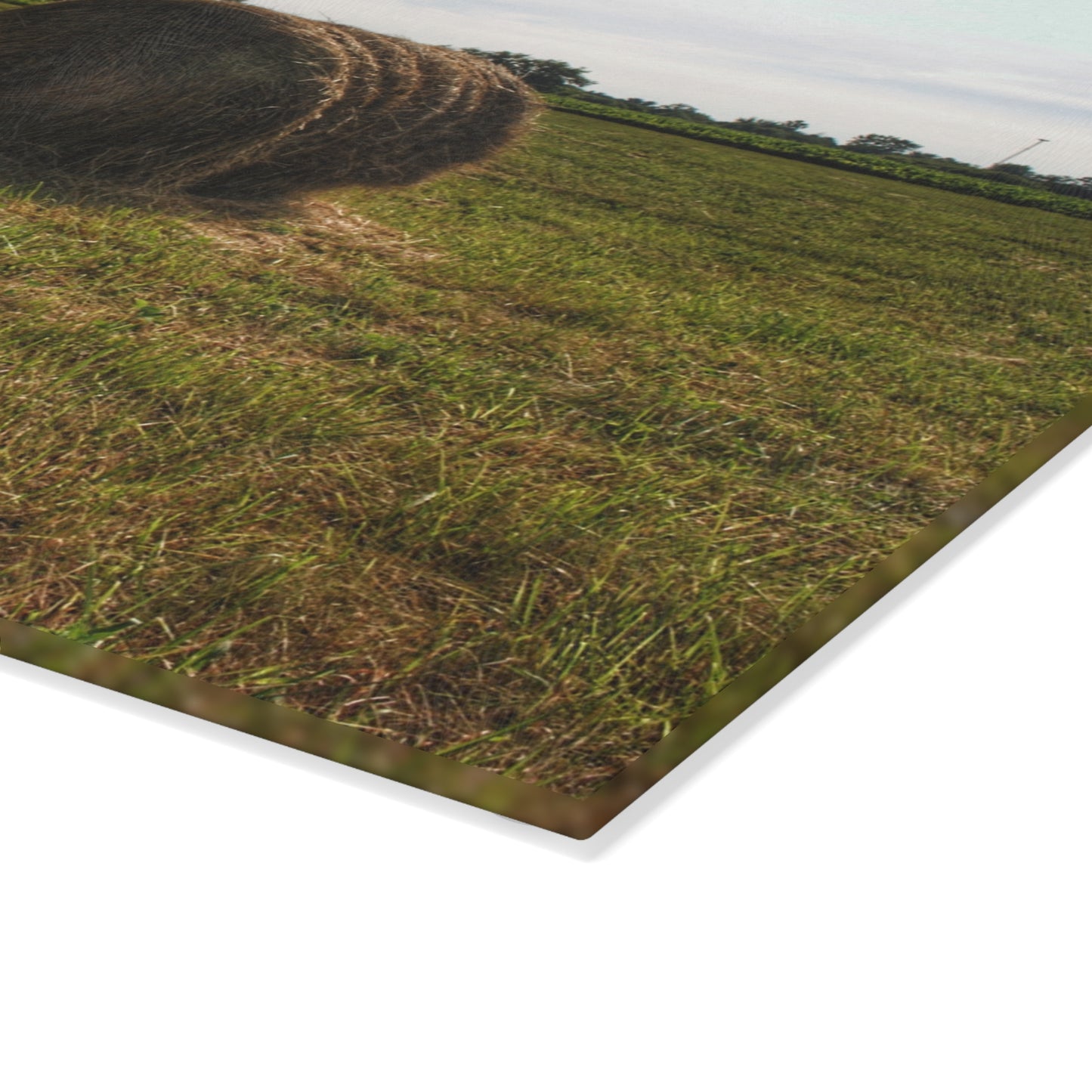 U R There Photography Summer Haybales II Rustic Farmhouse Tempered-Glass Cutting Board