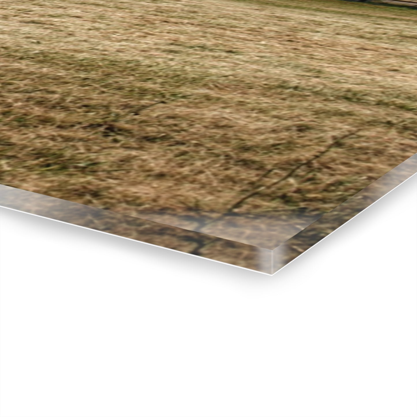 U R There Photography Hough Road Green Quonset II Rustic Farmhouse Acrylic Wall Print