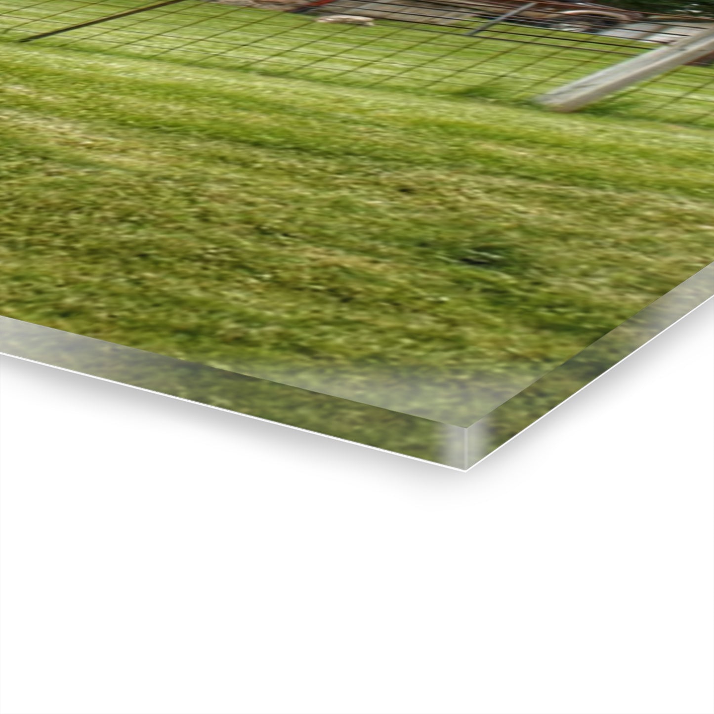 U R There Photography Elba Road Red II Rustic Farmhouse Acrylic Wall Print