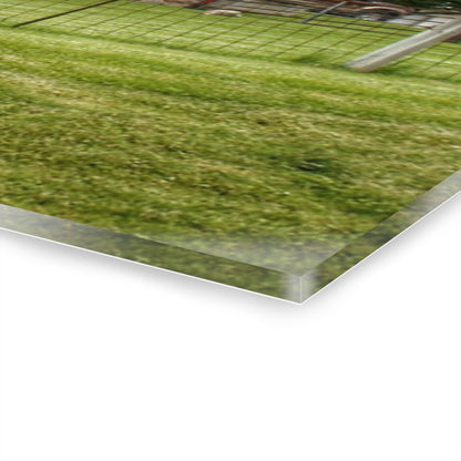 U R There Photography Elba Road Red II Rustic Farmhouse Acrylic Wall Print