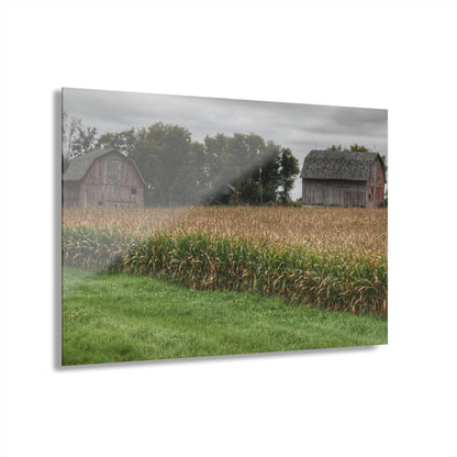 U R There Photography East Caro Road Reds Rustic Farmhouse Acrylic Wall Print