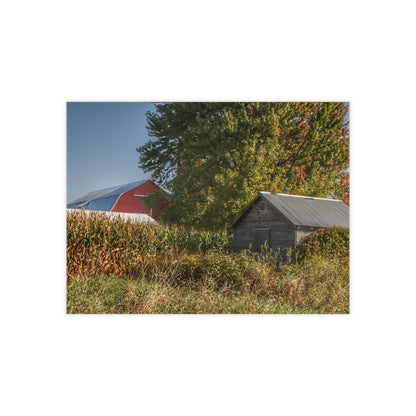 U R There Photography Barnes Road Hidden Red and Little Grey Rustic Farmhouse Decorative Ceramic Tile