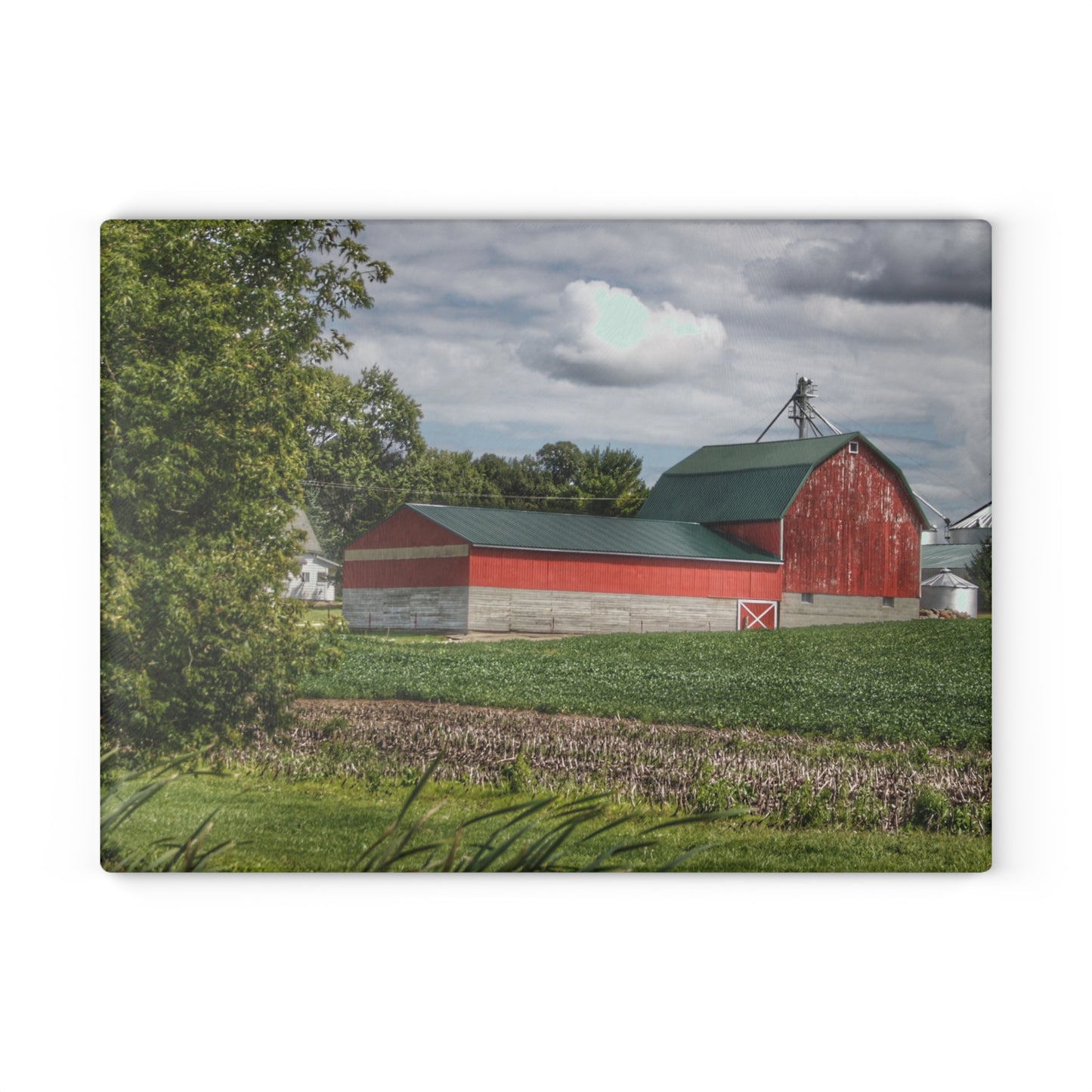 U R There Photography Haines Road Cornfield Reds Rustic Farmhouse Tempered-Glass Cutting Board