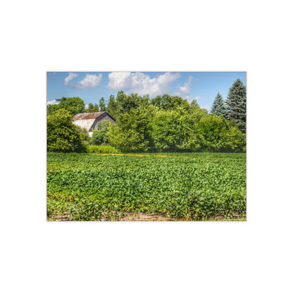 U R There Photography Canada Road Hidden Rustic Farmhouse Decorative Ceramic Tile