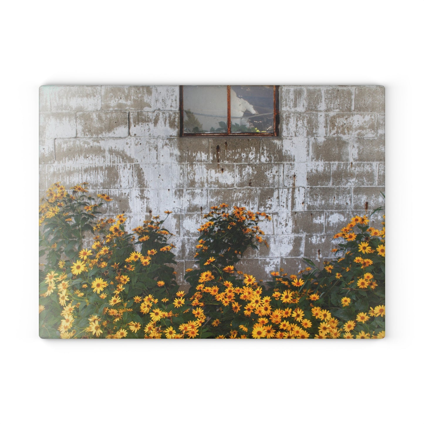 U R There Photography Golden Blooms on McDowell Rustic Farmhouse Tempered-Glass Cutting Board