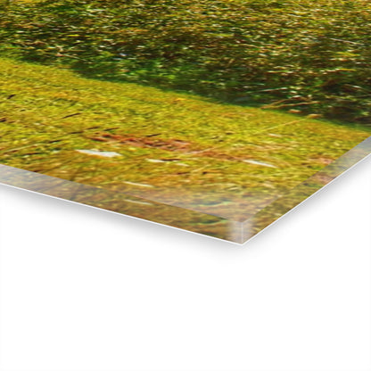 U R There Photography East Farrand Reds Rustic Farmhouse Acrylic Wall Print