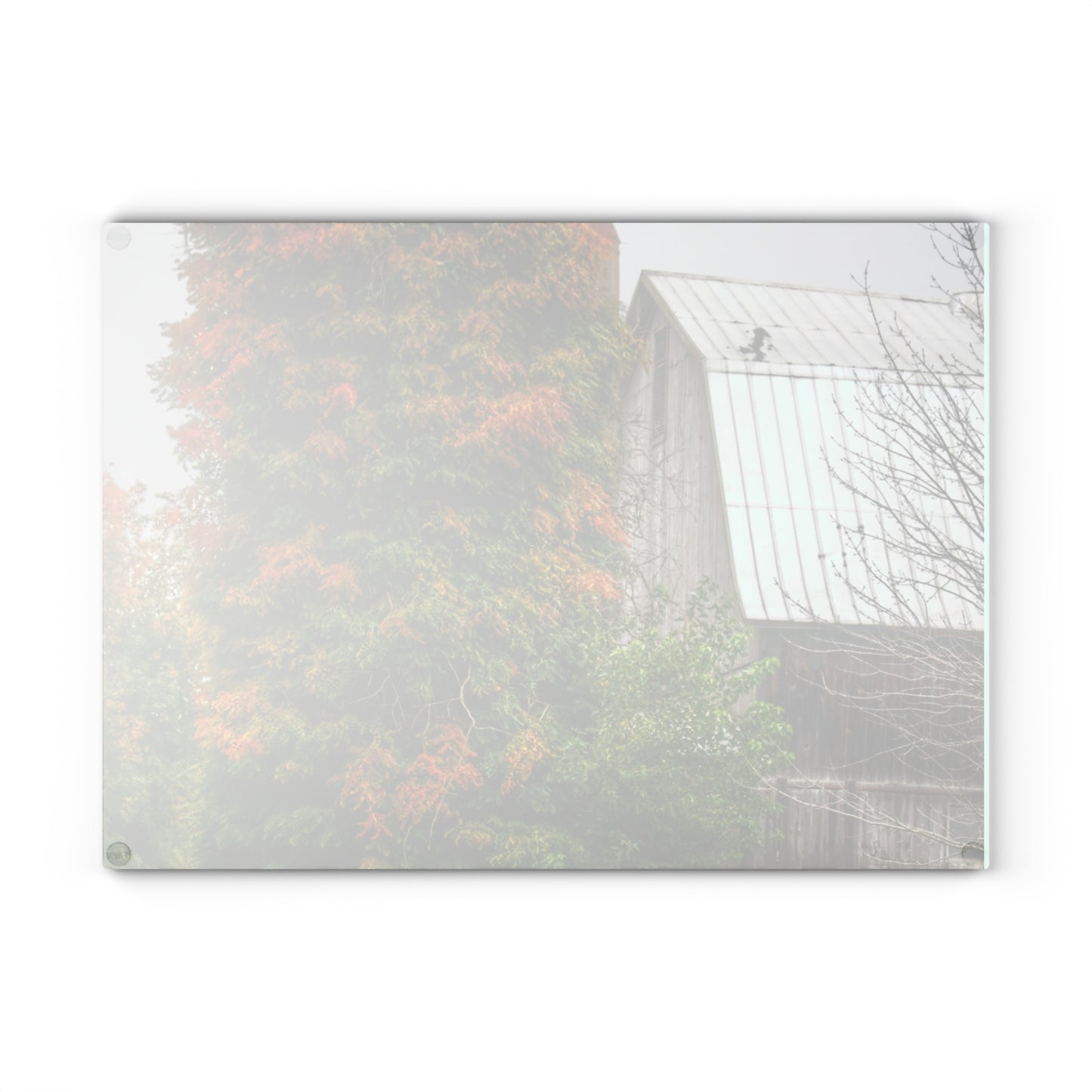 U R There Photography Ludwig Road Oxford Grey and Silo Rustic Farmhouse Tempered-Glass Cutting Board