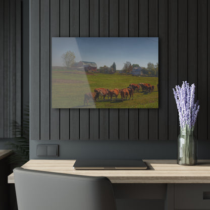 U R There Photography Plain Road Farm and Cows Rustic Farmhouse Acrylic Wall Print