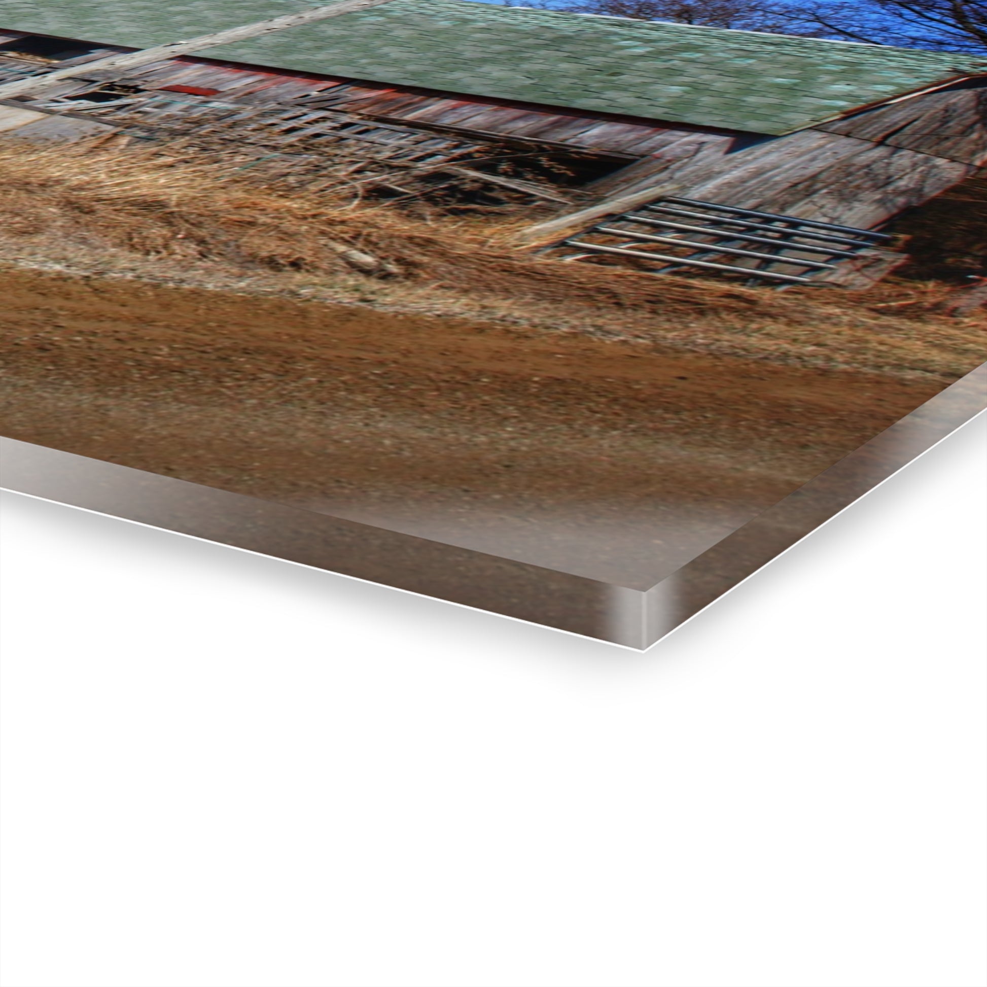 Romeo Plank Road Forgotten Greys II Rustic Farmhouse Acrylic Wall Print