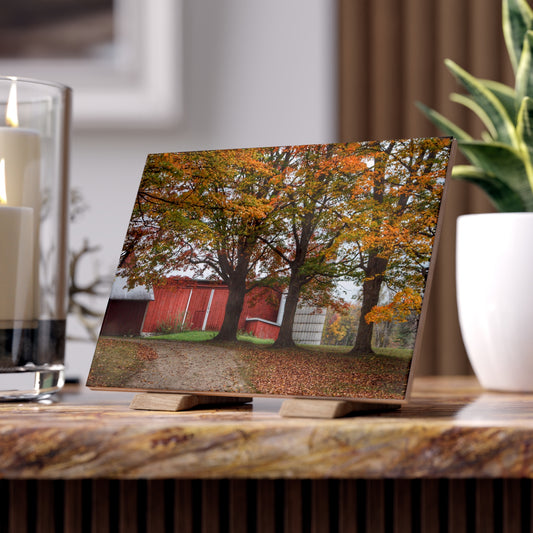 U R There Photography Brown Road Red in the Fall Rustic Farmhouse Decorative Ceramic Tile