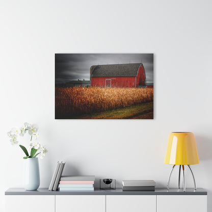 U R There Photography Slattery Road Cornfield Red Rustic Farmhouse Acrylic Wall Print