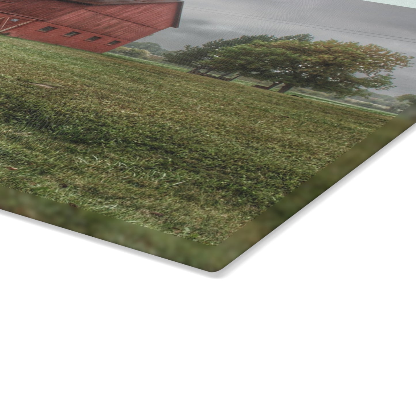 U R There Photography Birch Road Red Rustic Farmhouse Tempered-Glass Cutting Board