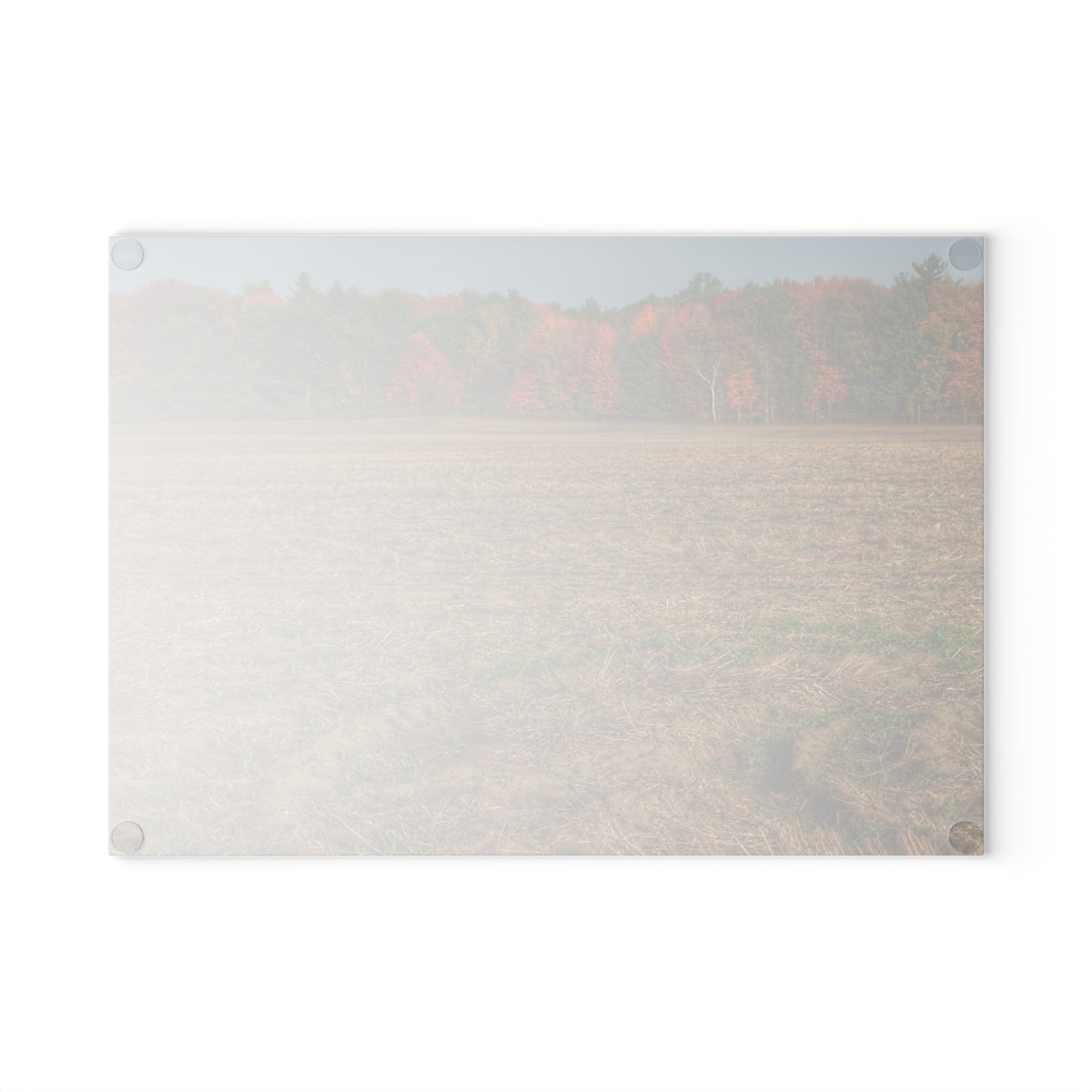 U R There Photography Fall on Murphy Lake III Rustic Farmhouse Tempered-Glass Cutting Board