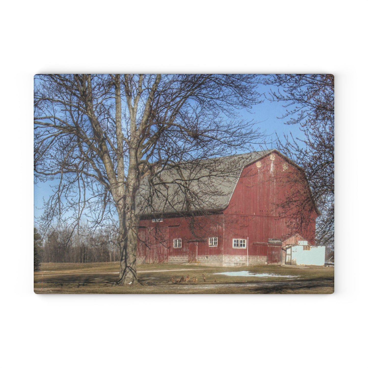 U R There Photography Dixon Road Red Rustic Farmhouse Tempered-Glass Cutting Board