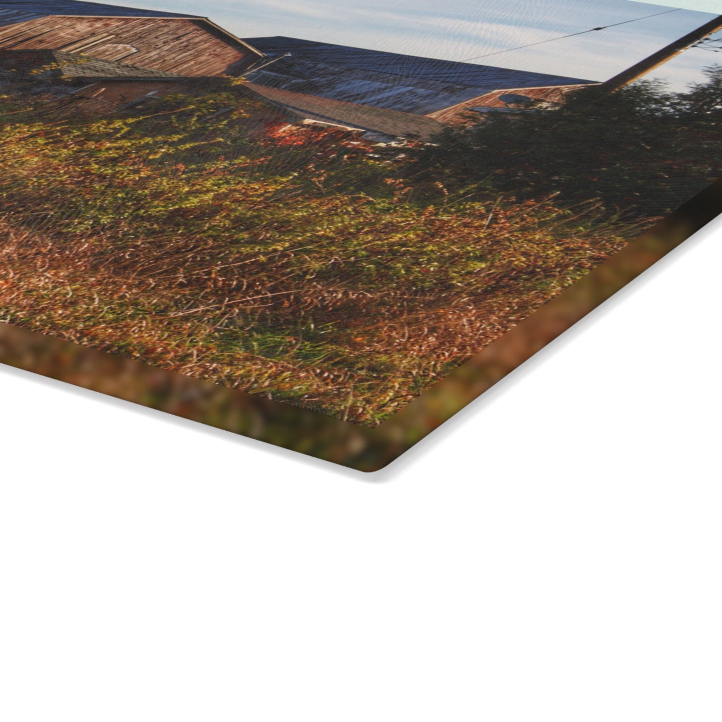 U R There Photography Montgomery Road Reds Rustic Farmhouse Tempered-Glass Cutting Board