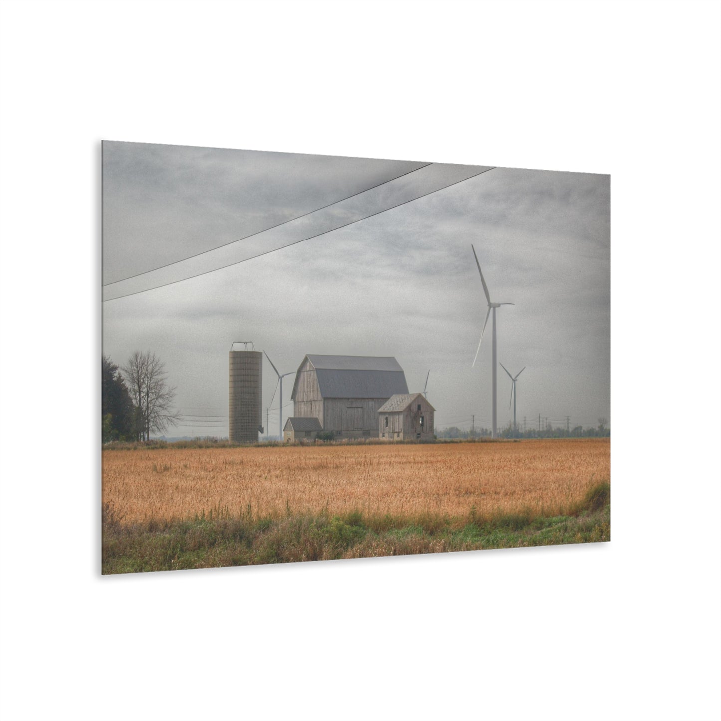 U R There Photography Pinabog Greys Rustic Farmhouse Acrylic Wall Print 14 "x 11"