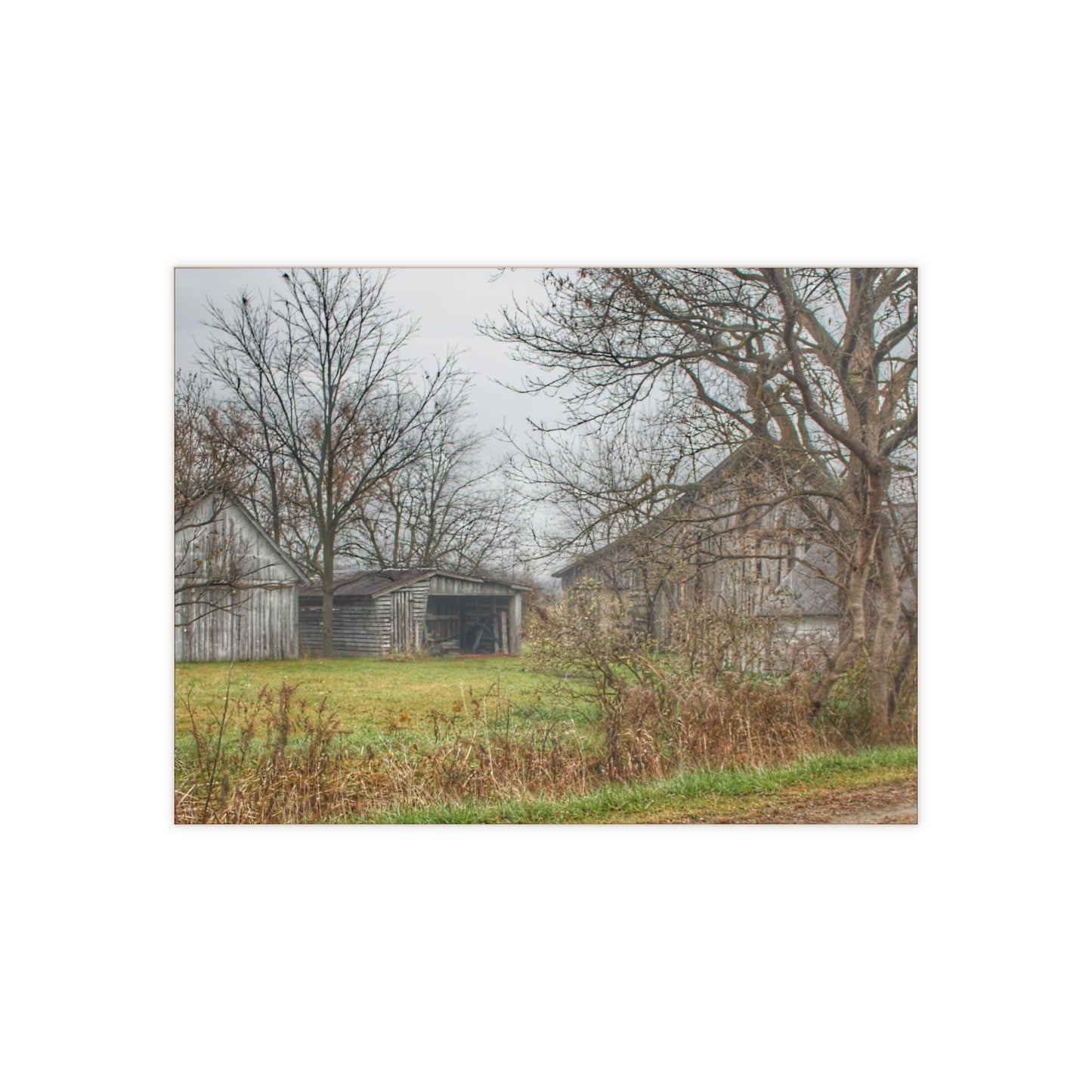 U R There Photography Bowers Road Greys IV Rustic Farmhouse Decorative Ceramic Tile