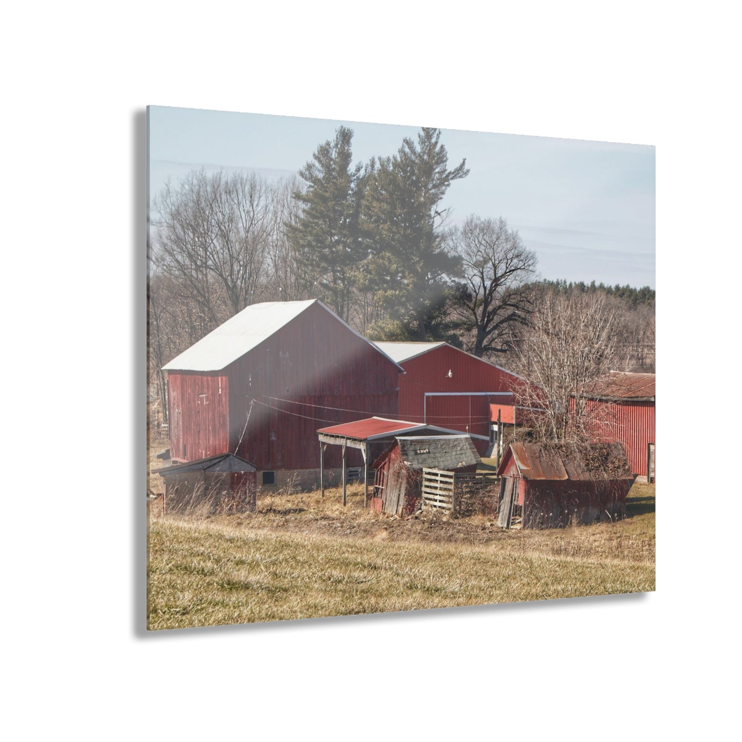 U R There Photography Bronson Lake Reds Rustic Farmhouse Acrylic Wall Print
