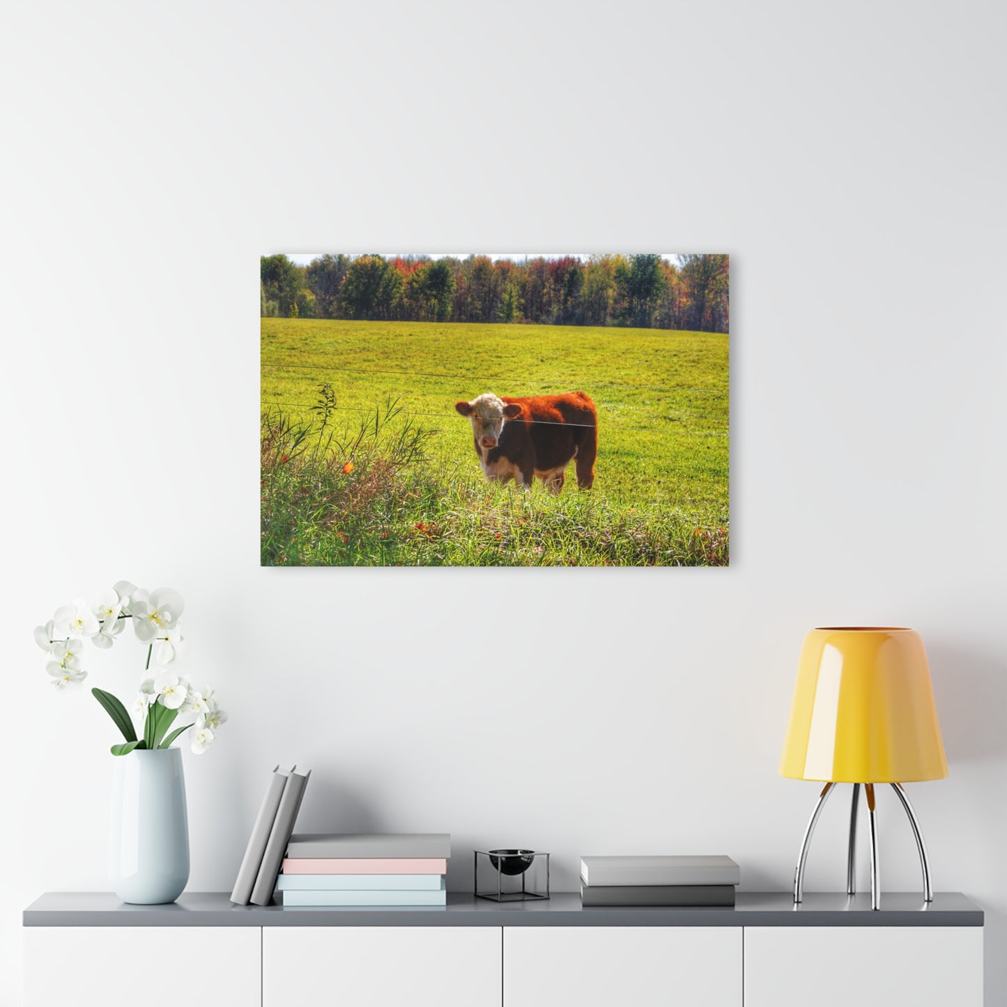 Barn Boutique Modern Farmhouse Acrylic Wall Print| Curry Road Cow