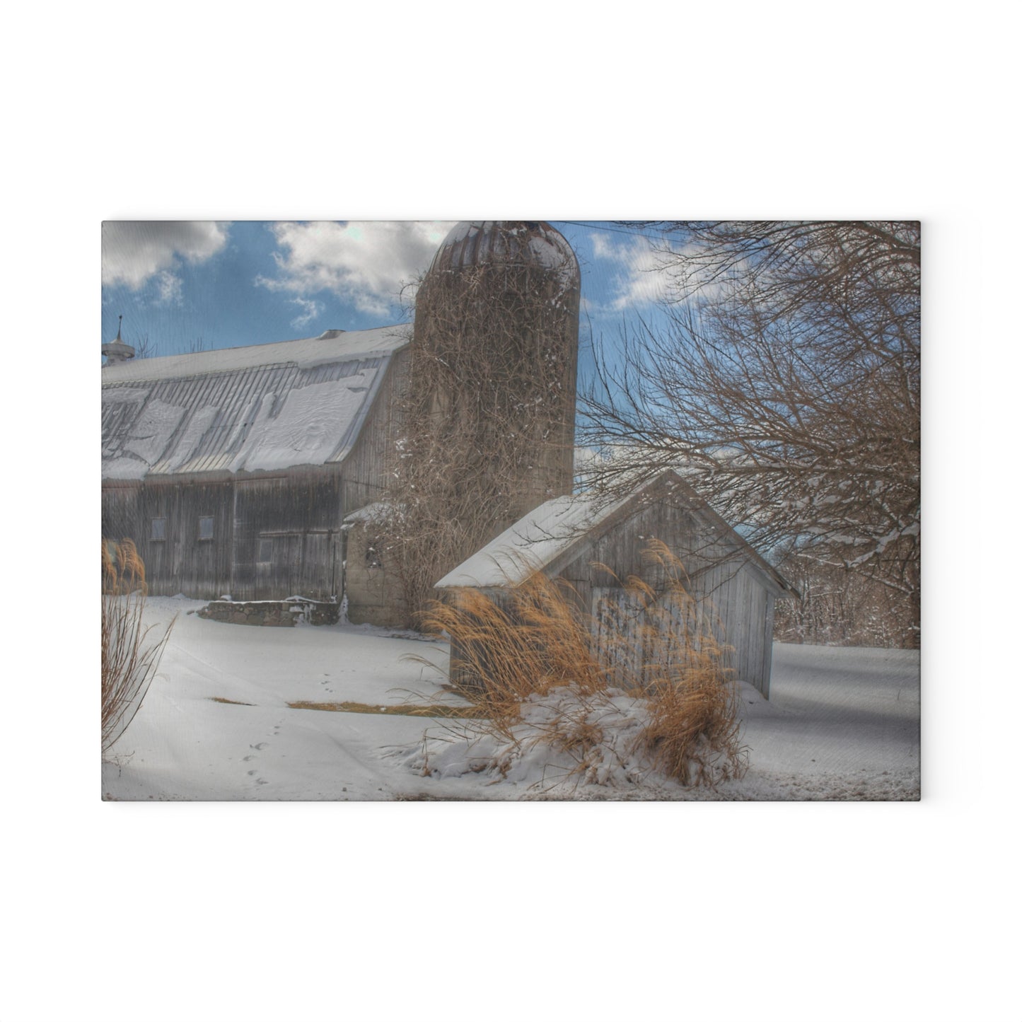 U R There Photography Ludwig Road Greys in Winter Rustic Farmhouse Tempered-Glass Cutting Board