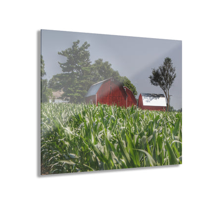 U R There Photography Shoemaker Reds Rustic Farmhouse Acrylic Wall Print