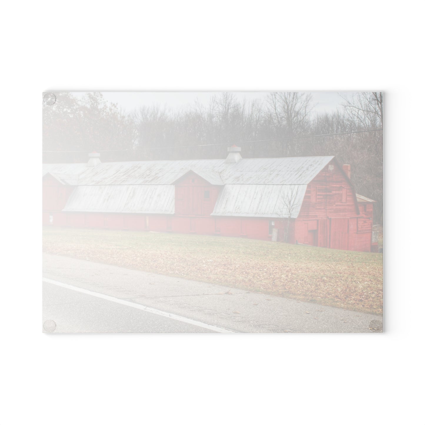U R There Photography Caseville Red Rustic Farmhouse Tempered-Glass Cutting Board