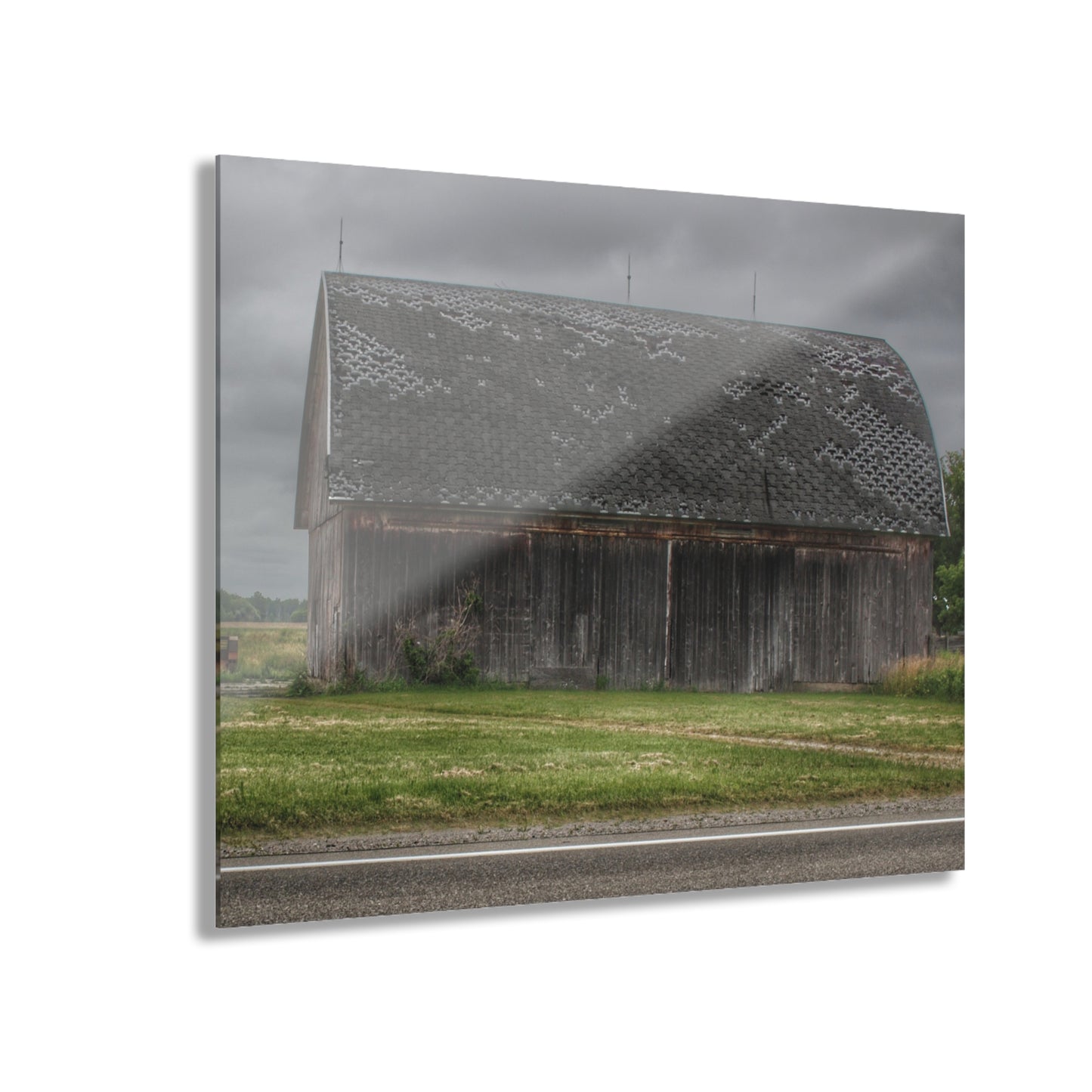 U R There Photography M-24 Elder Grey Rustic Farmhouse Acrylic Wall Print