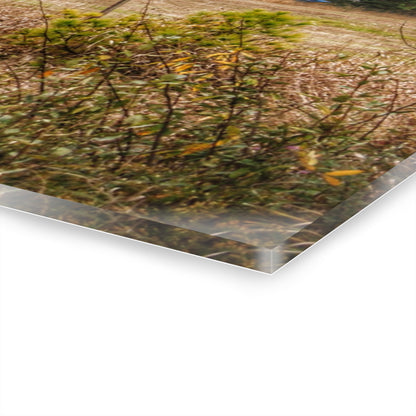 U R There Photography Hadley Road Hidden Red in Fall Rustic Farmhouse Acrylic Wall Print