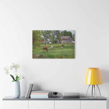 U R There Photography Front Yard Ponies Rustic Farmhouse Acrylic Wall Print