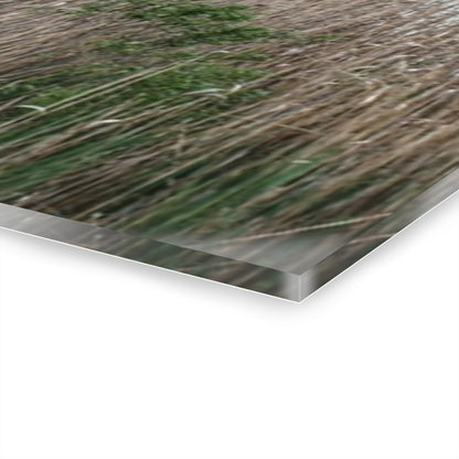 U R There Photography Linear Park Bridge in Lapeer II Rustic Farmhouse Acrylic Wall Print