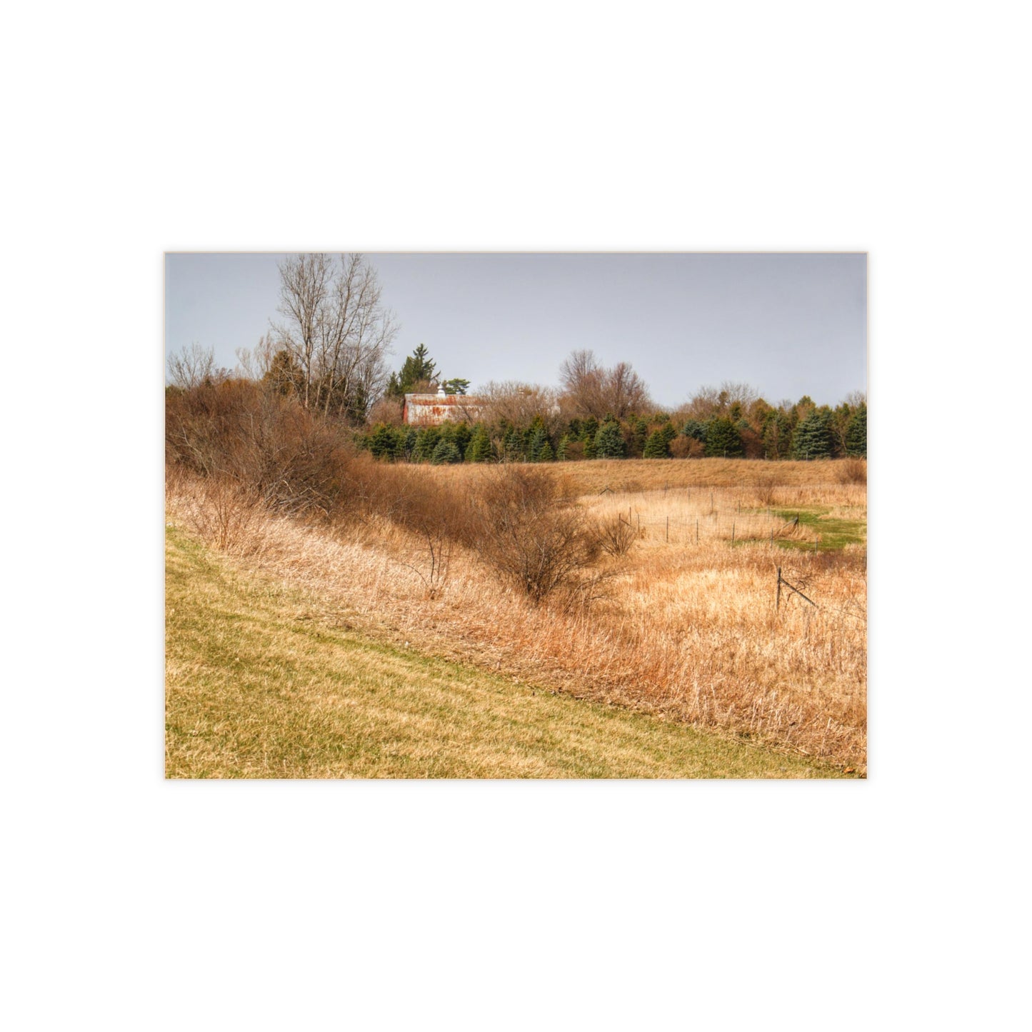 U R There Photography Beyond the Short Pines Rustic Farmhouse Decorative Ceramic Tile