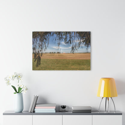 U R There Photography Cass City Farm Rustic Farmhouse Acrylic Wall Print