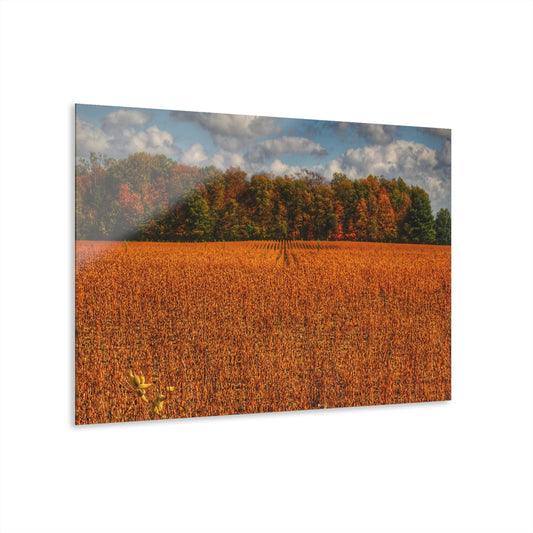 U R There Photography Fall on Murphy Lake I Rustic Farmhouse Acrylic Wall Print
