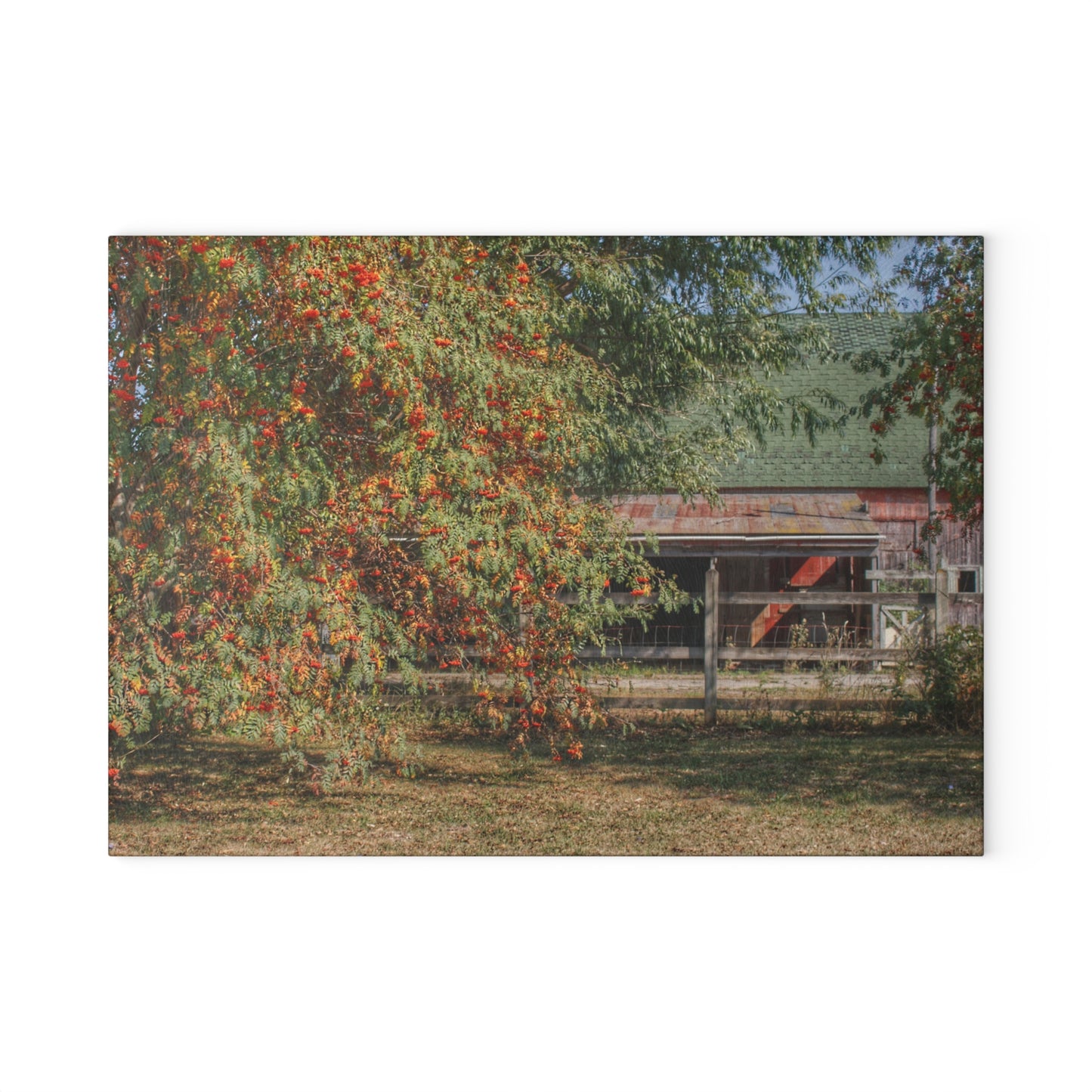 U R There Photography Farrand Road Red Coral by Flowering Tree Rustic Farmhouse Tempered-Glass Cutting Board