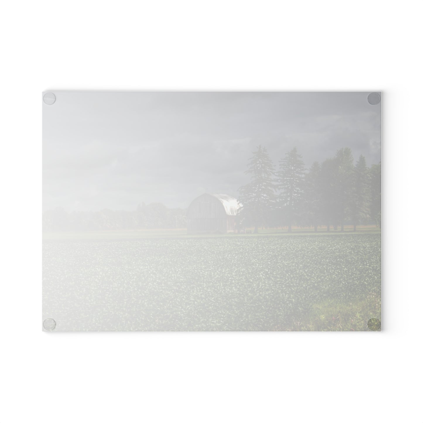 U R There Photography Belsay Grey Among the Pines Rustic Farmhouse Tempered-Glass Cutting Board