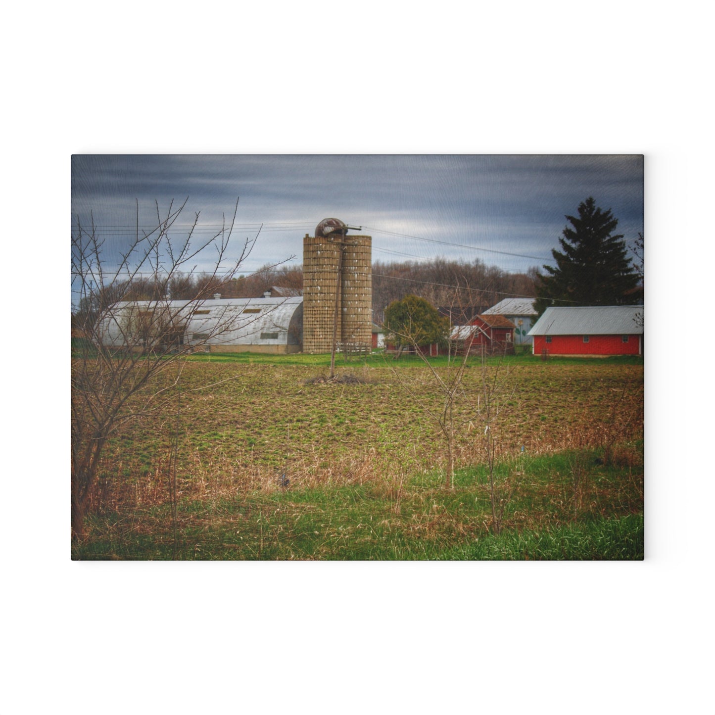 U R There Photography Fostoria Road Quonset Rustic Farmhouse Tempered-Glass Cutting Board