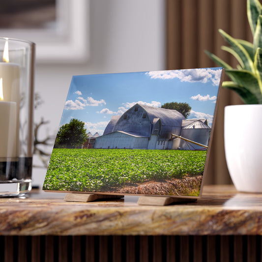 U R There Photography Canada Road White Rustic Farmhouse Decorative Ceramic Tile