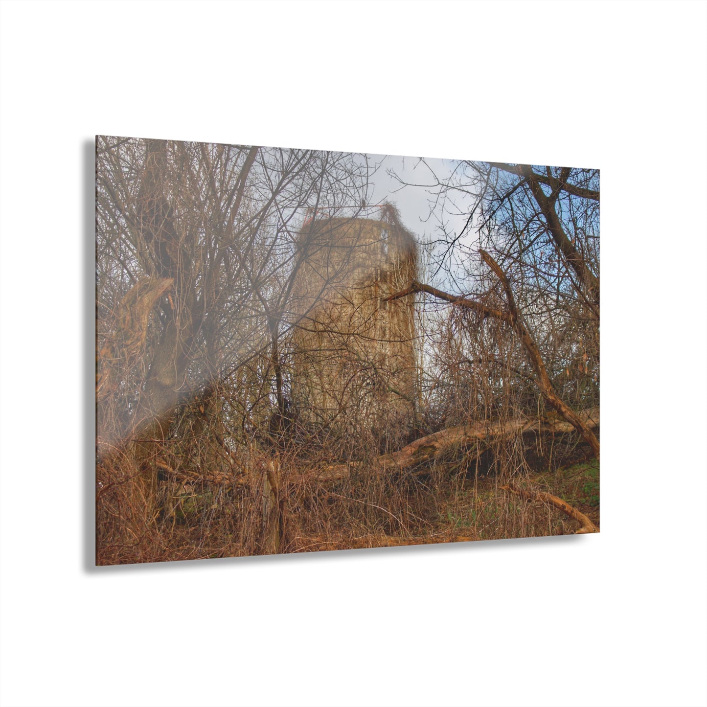 U R There Photography Hidden Silo of Fostoria Rustic Farmhouse Acrylic Wall Print