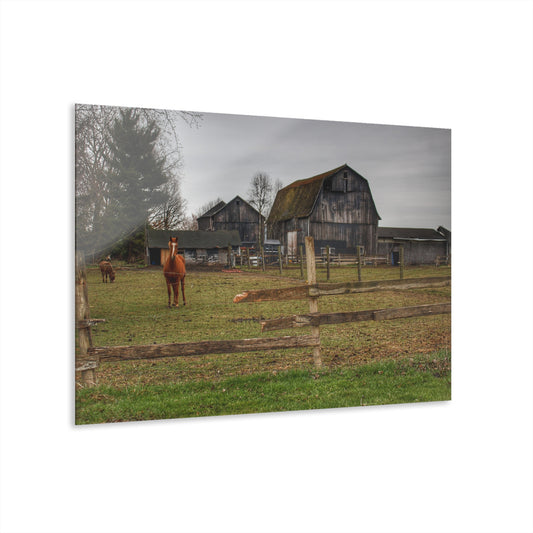 U R There Photography South Summers Road Old Grey and Caramel II Rustic Farmhouse Acrylic Wall Print