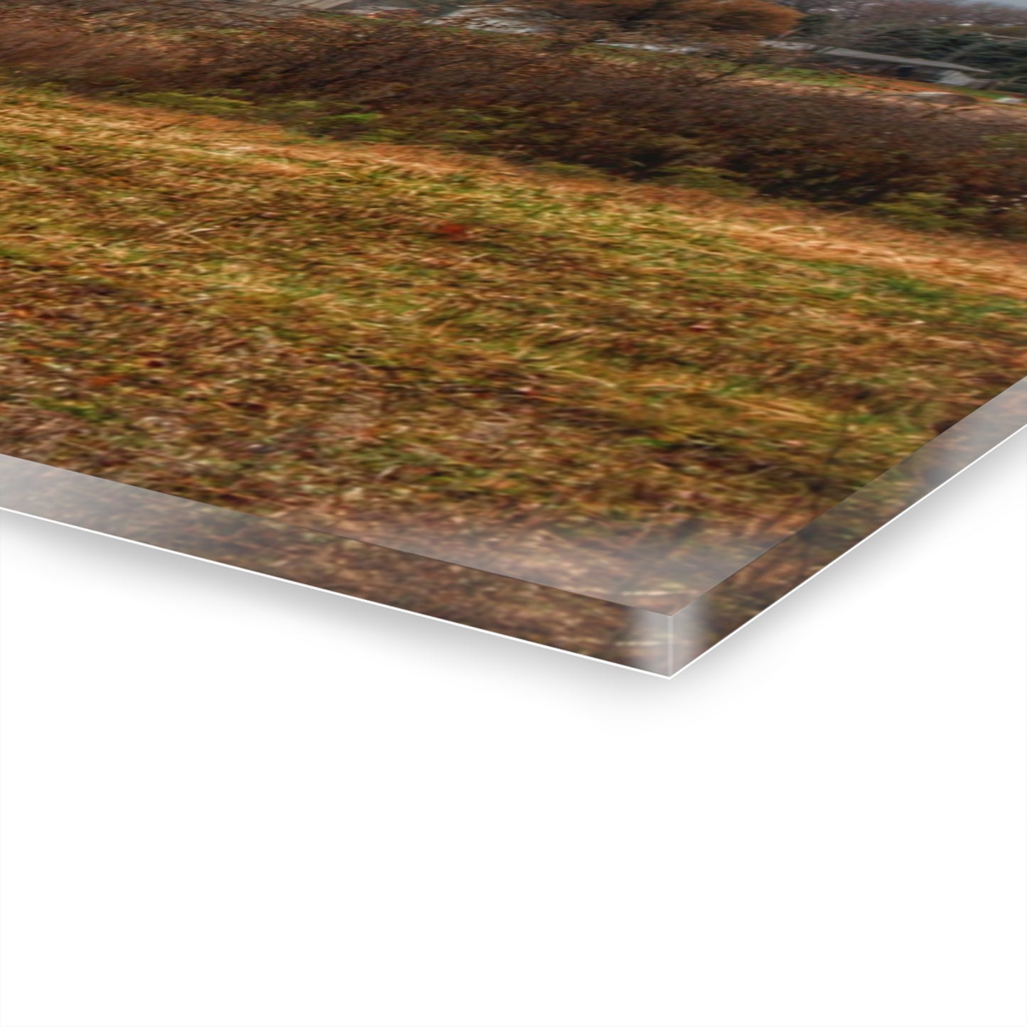 U R There Photography German Road Forgotten Red I Rustic Farmhouse Acrylic Wall Print