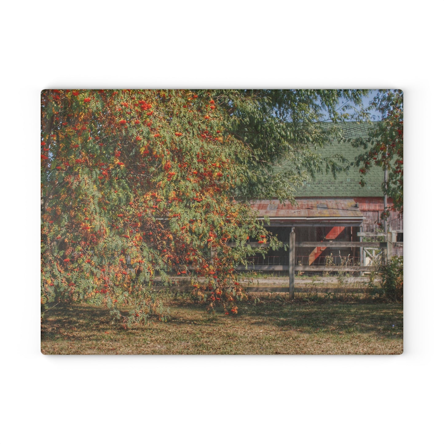 U R There Photography Farrand Road Red Coral by Flowering Tree Rustic Farmhouse Tempered-Glass Cutting Board