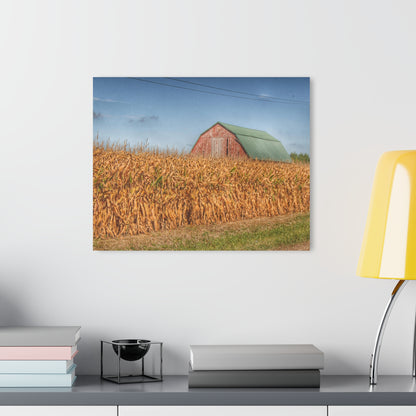 U R There Photography Beyond the Harvest Corn I Rustic Farmhouse Acrylic Wall Print
