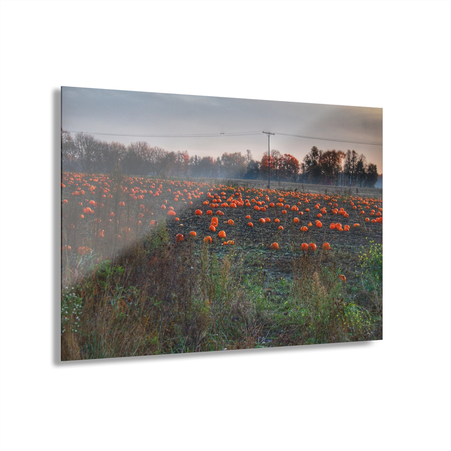 U R There Photography Five Lakes Pumpkins Rustic Farmhouse Acrylic Wall Print